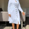 Robe chemise boutonnée sur le devant Robe chemise boutonnée sur le devant, robe midi décontractée à manches longues, vêtements pour femmes 26 décembre 2024 Kotazando