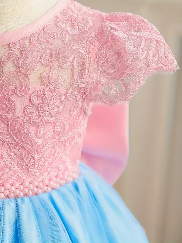 Robe de princesse élégante en dentelle brodée pour petite fille, robe de fête de premier anniversaire - Image 7