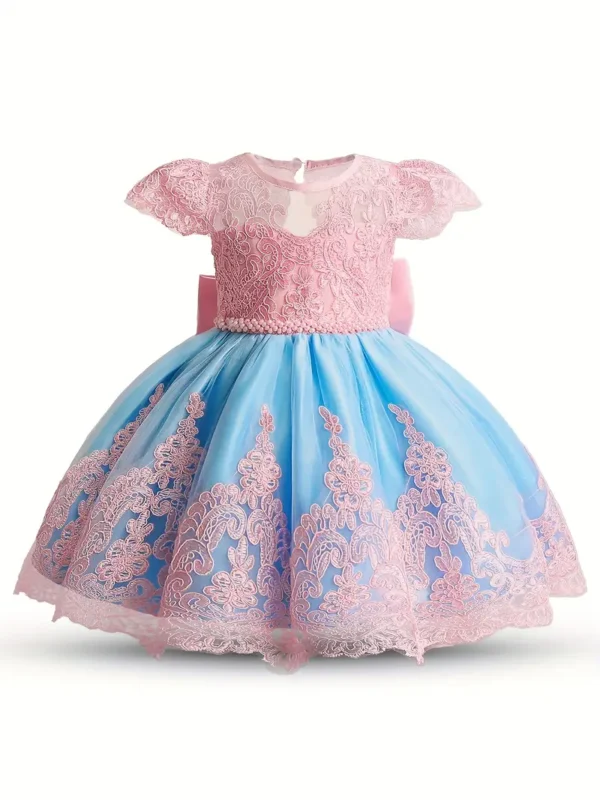 Robe de princesse élégante en dentelle brodée pour petite fille, robe de fête de premier anniversaire - Image 2