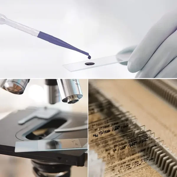 Lot de 50 lames de microscope, Lames en verre vierges pré-nettoyées pour la préparation d'échantillons biologiques, Kits et expériences Matériau principal, Idéal pour un usage en laboratoire, scientifique et éducatif – Image 7