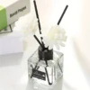 Bouteille d'aromathérapie sans flamme de grande capacité de 50 ml Bouteille d'aromathérapie sans flamme de grande capacité de 50 ml 26 janvier 2025 Kotazando